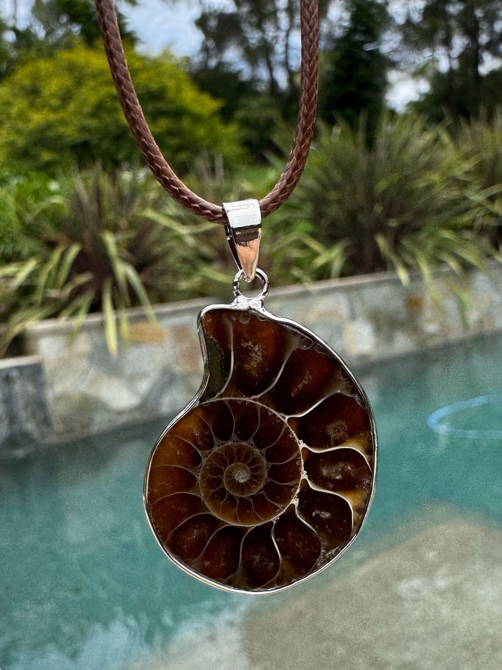 Unique Fossil Ammonite Pendant Necklace Brown leather cord